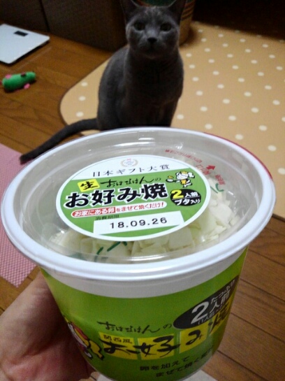お好み焼き_d0152937_19451956.jpg