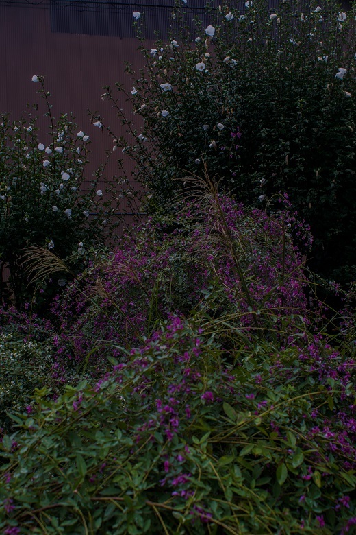 e0363038_15315951.jpg