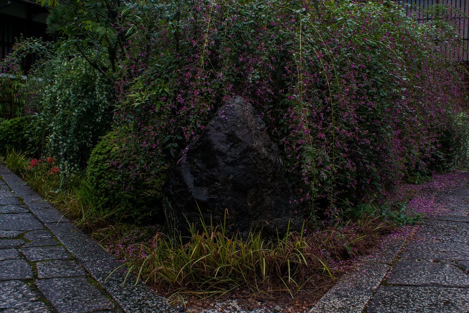 e0363038_15321531.jpg