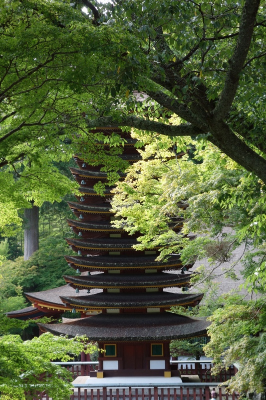 談山神社_e0156341_07403522.jpg