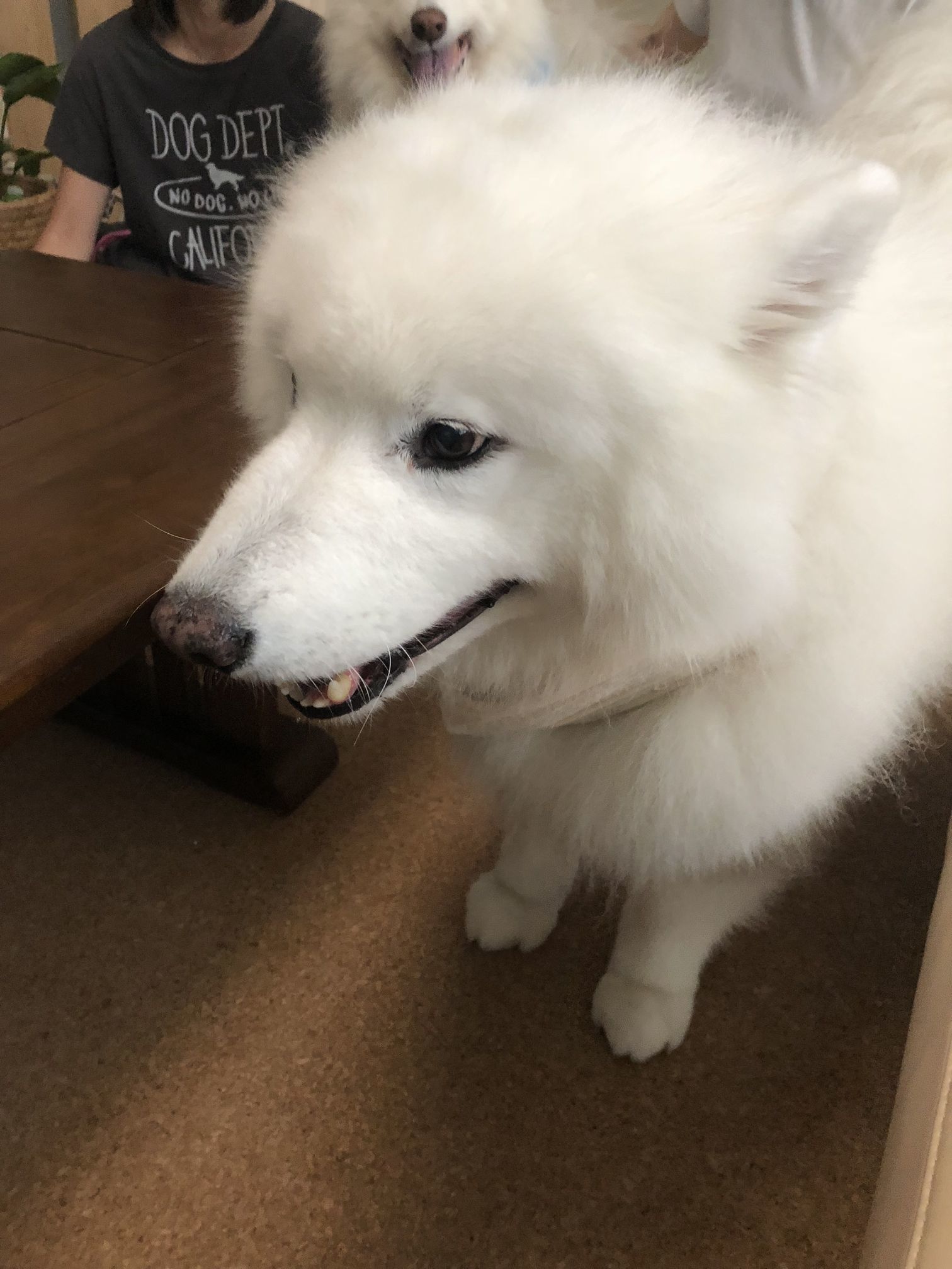 アイルちゃんちへ_f0128542_01564449.jpg
