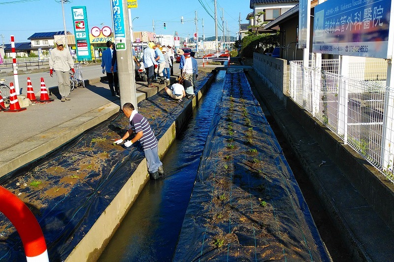 a0185545_15531747.jpg