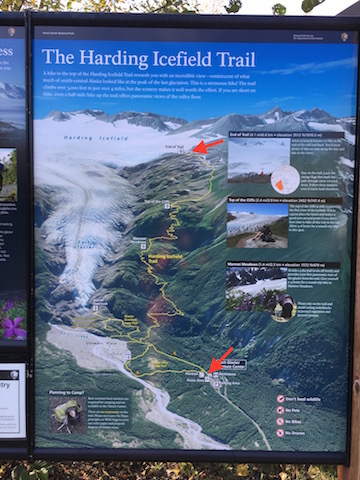 ハーディング氷原トレイル　The Harding Icefield Trail_b0135948_15012714.jpg