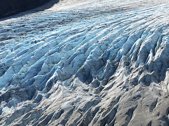 ハーディング氷原トレイル　The Harding Icefield Trail_b0135948_15031311.jpg