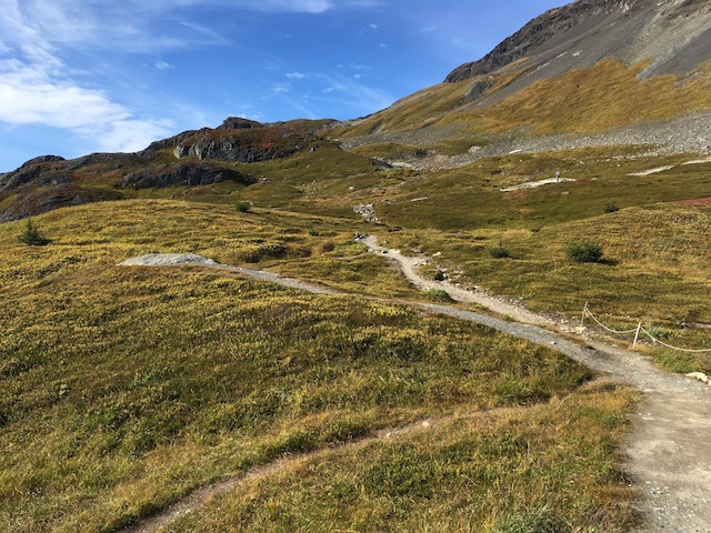 ハーディング氷原トレイル The Harding Icefield Trail_b0135948_15034799.jpg