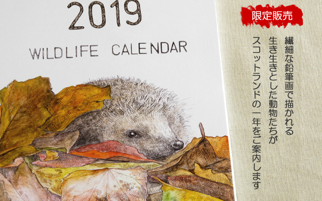 2019年壁掛けカレンダー イギリス・スコットランドの生きものたちのくらし_d0249350_14114504.jpg