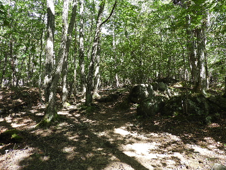 e0172950_21203029.jpg