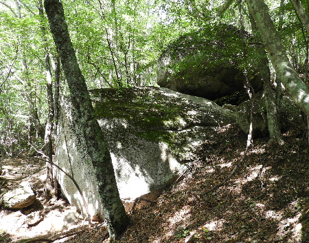 e0172950_21204063.jpg