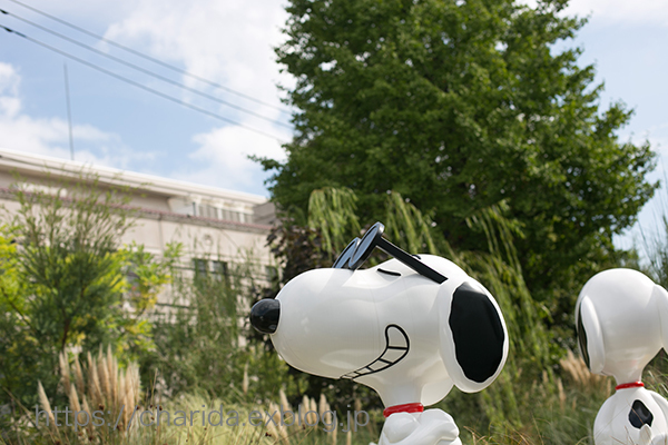 SNOOPY MUSEUM_c0092152_12461566.jpg