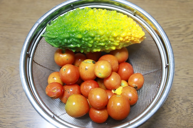 c0236857_07284130.jpg