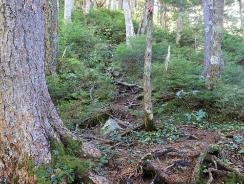 c0236857_07302737.jpg