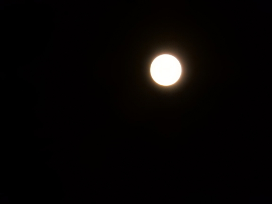 ’18,9,25(火)十五夜と曼珠沙華!_f0060461_08062215.jpg