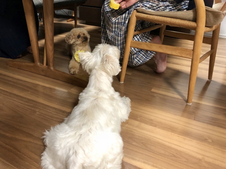 f0363961_14252047.jpeg