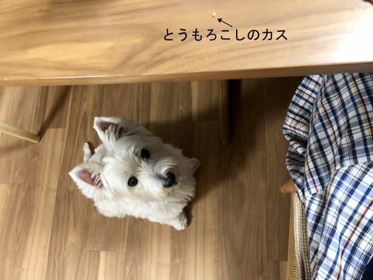 f0363961_14264150.jpeg