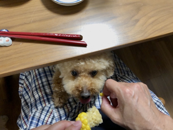 f0363961_14265429.jpeg