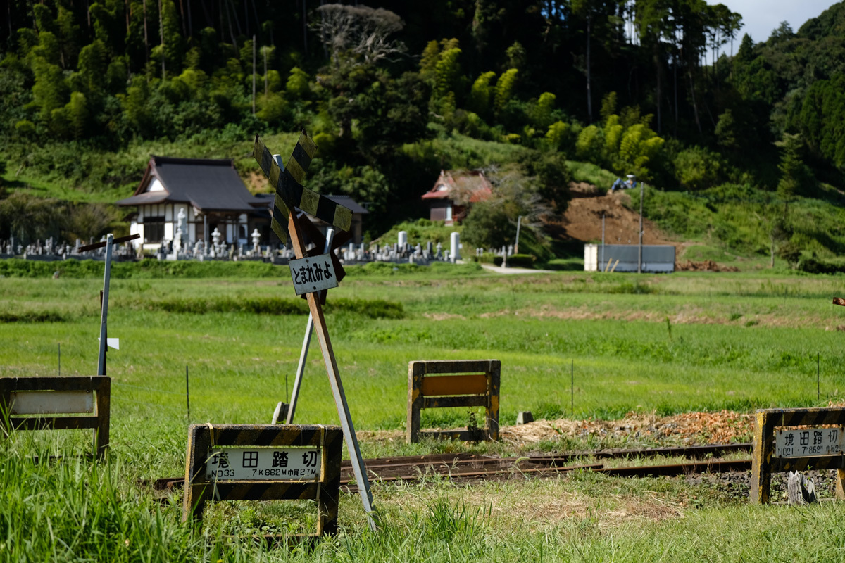 c0084666_16354590.jpg