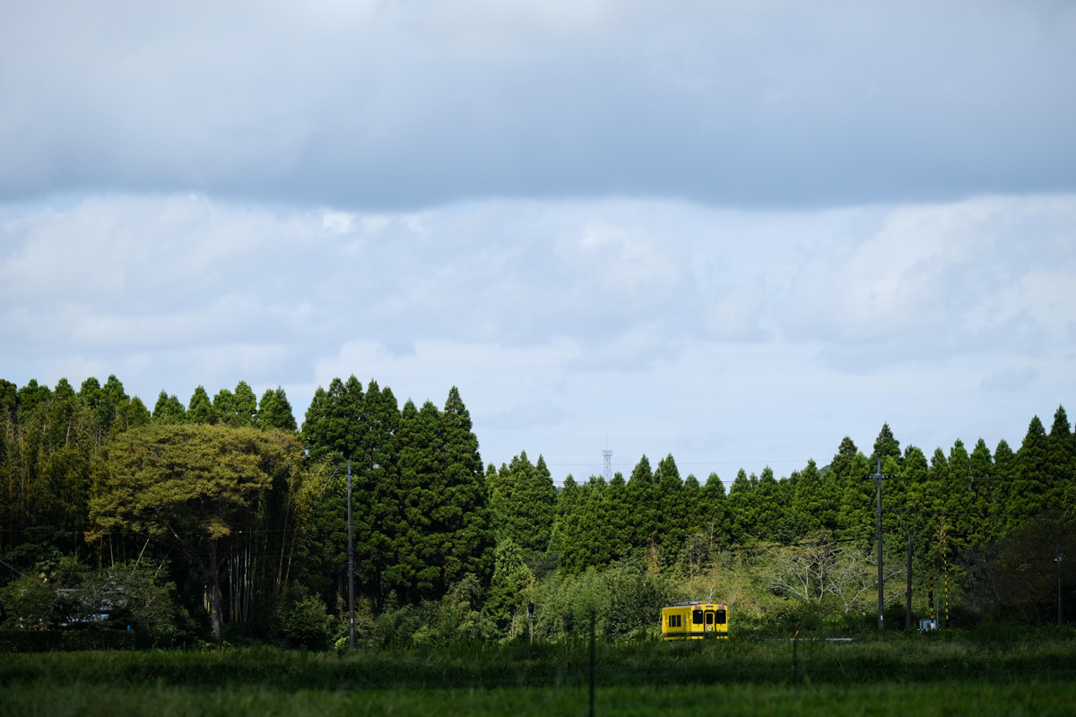 c0084666_16354645.jpg