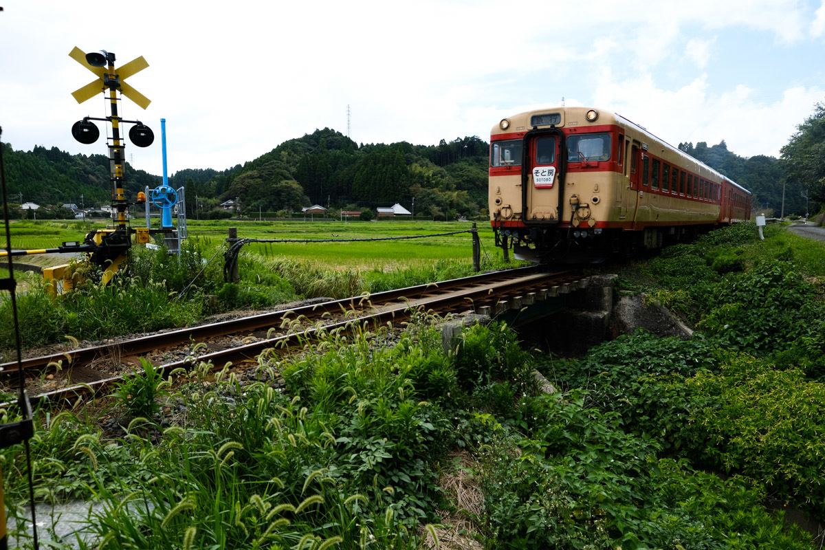 c0084666_16564334.jpg