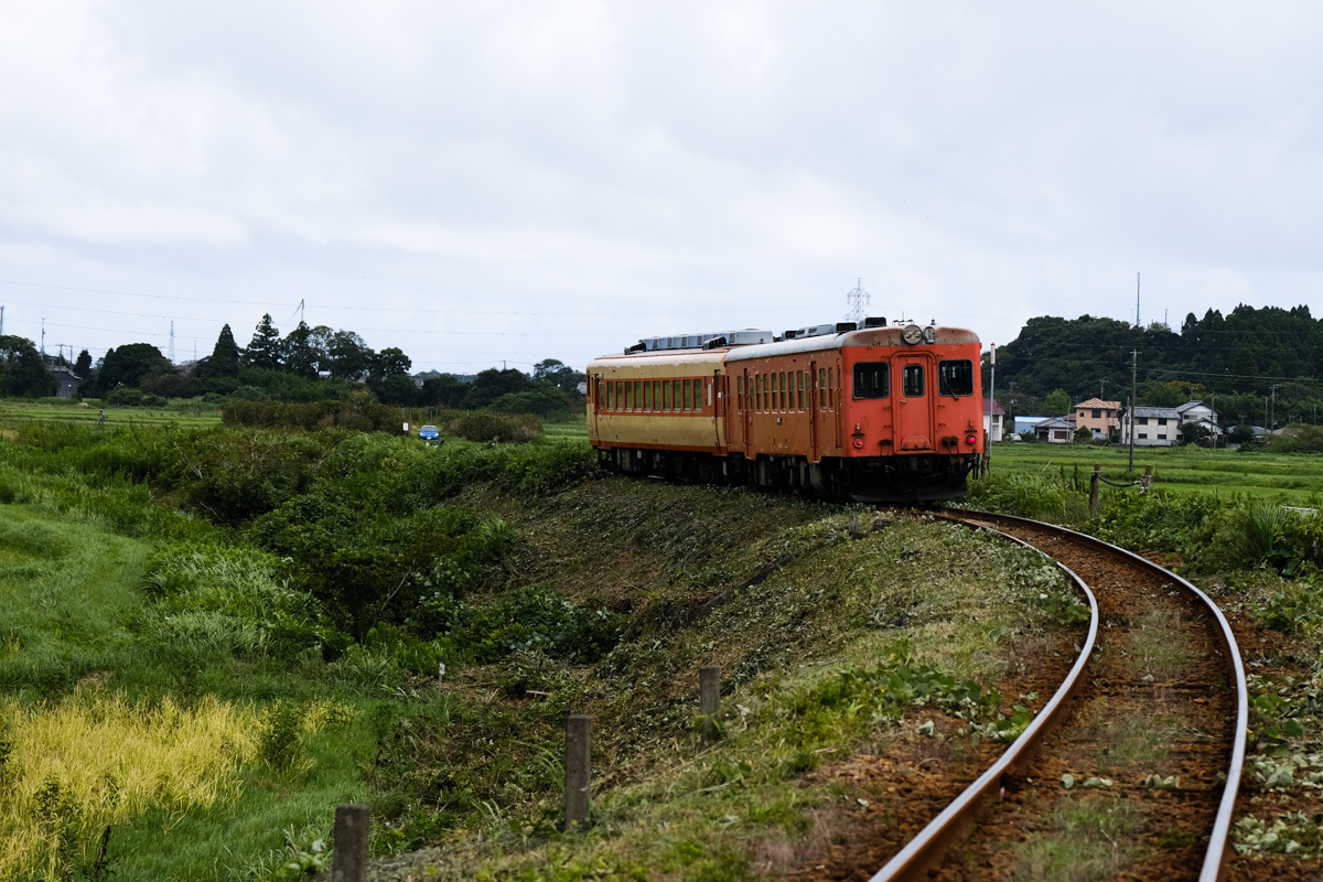 c0084666_17003621.jpg