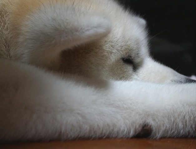 c0257276_15103031.jpg