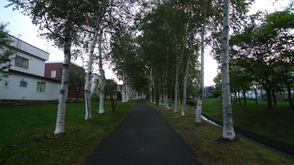 c0212083_16293400.jpg