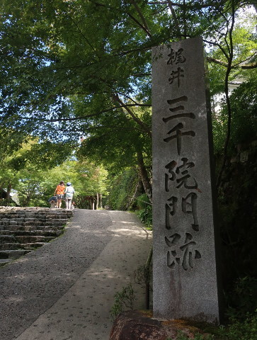 d0098183_20524372.jpg