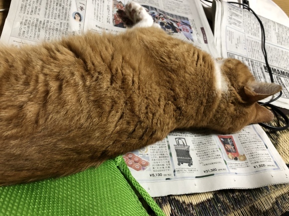 f0357487_21441753.jpeg