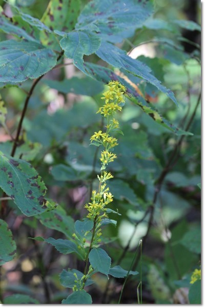 f0146493_10084014.jpg