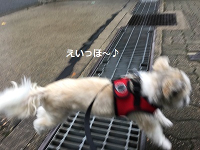 f0372998_20152211.jpg