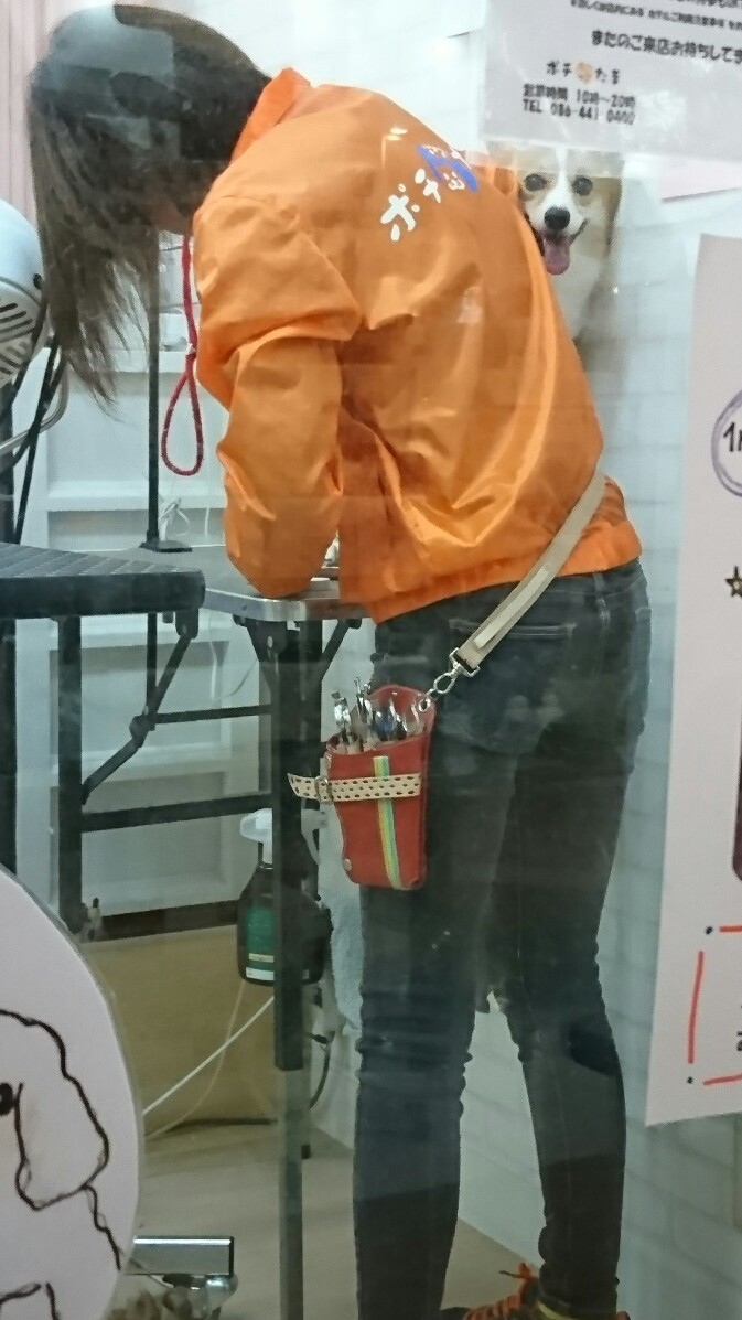 f0371101_20222952.jpg