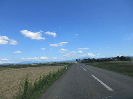 a0203003_13575475.jpg