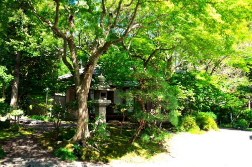 a0263109_20532926.jpg