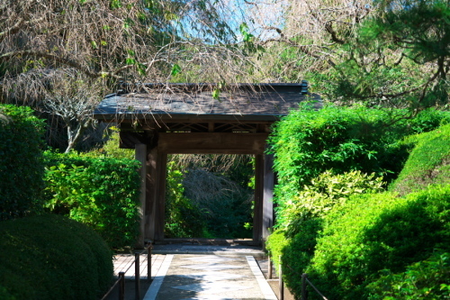a0263109_21040755.jpg