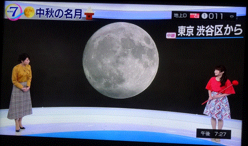 f0231709_01580238.gif