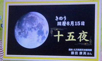 f0231709_01584972.gif