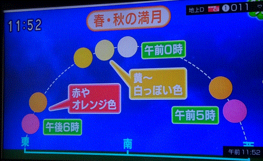 f0231709_01595621.gif