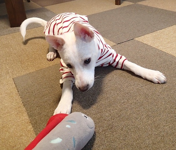 c0182012_09090792.jpg