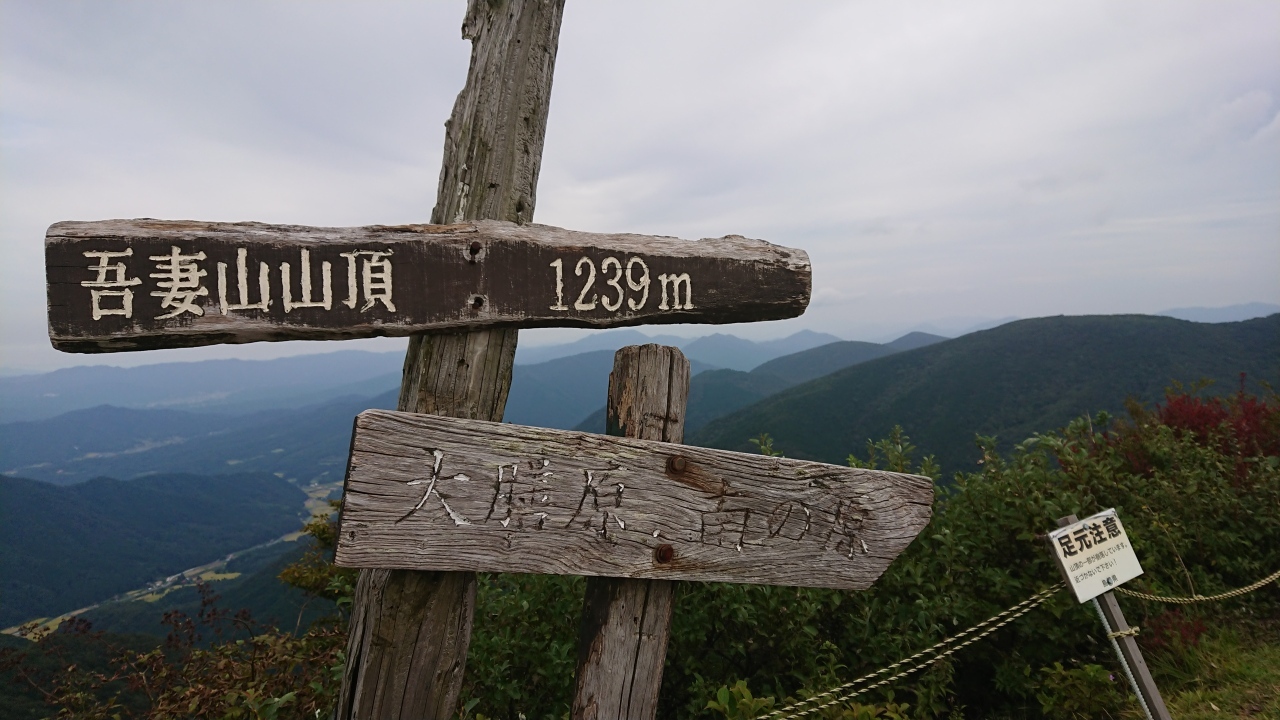 秋を求めて!_c0339918_09522841.jpg