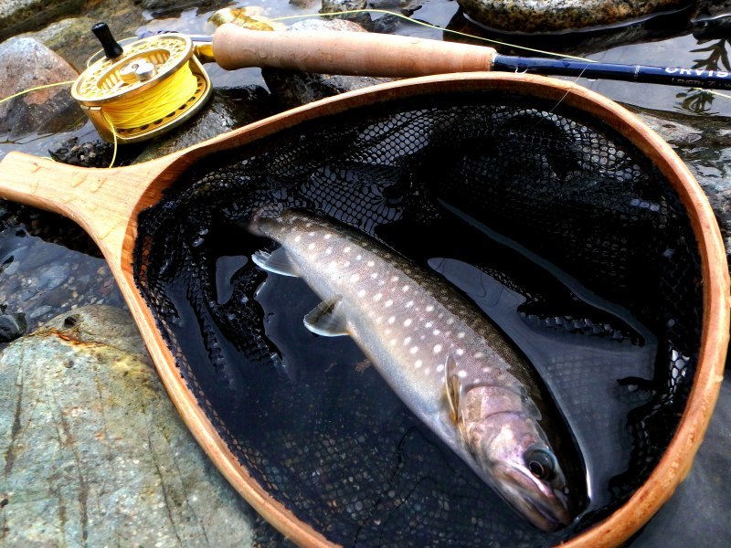 d0091323_10334167.jpg