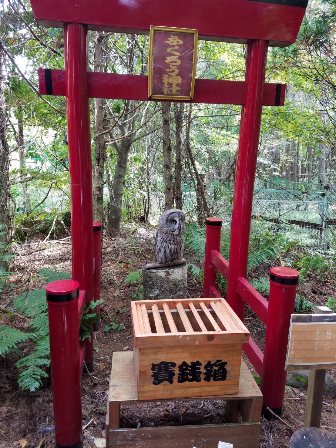 ふくろう神社_e0264523_16412505.jpg