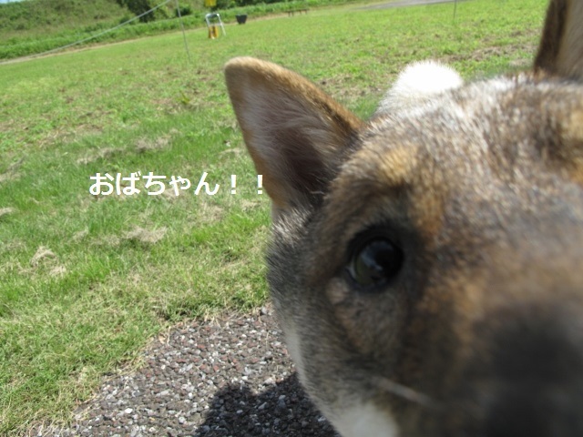 f0143123_08493422.jpg