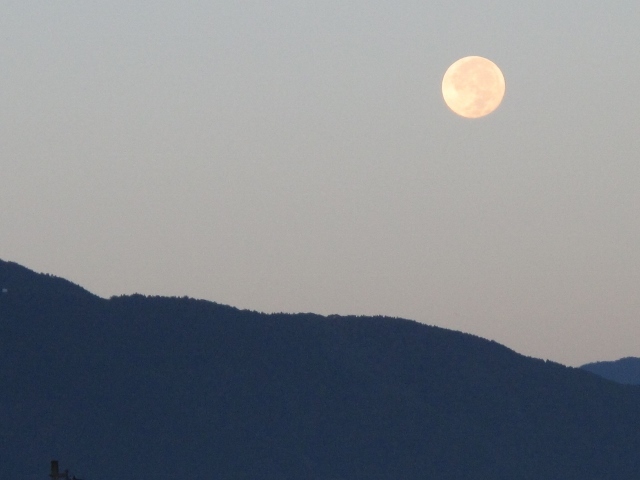 f0143123_09285552.jpg