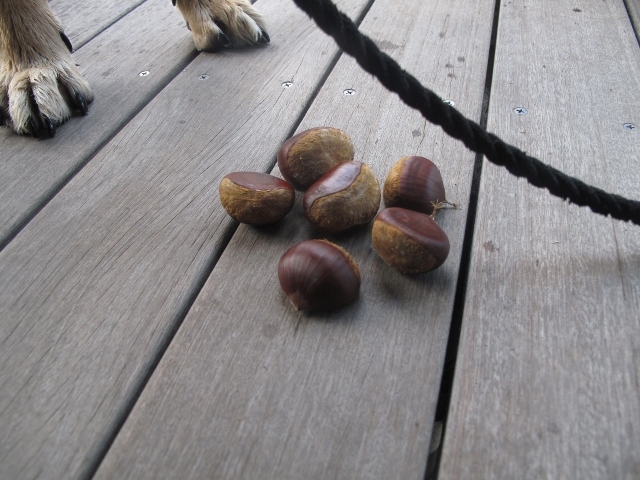 f0143123_09323987.jpg