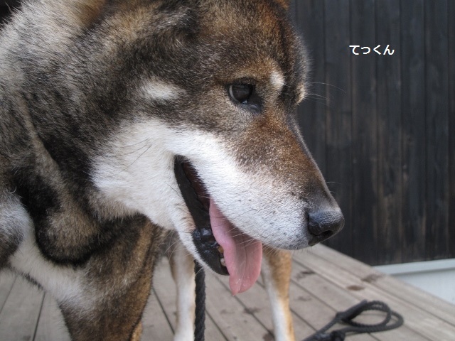 f0143123_09353789.jpg