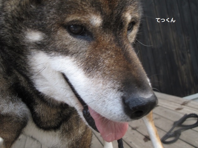 f0143123_09420215.jpg