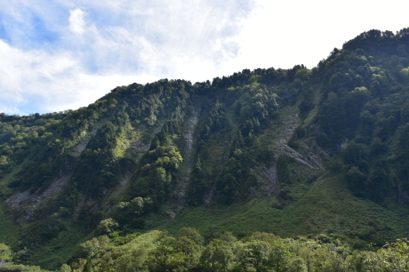 f0362524_17351905.jpg