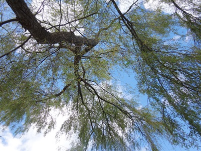 c0204725_2364211.jpg