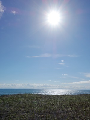 c0204725_2391673.jpg