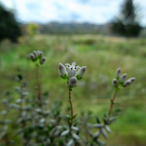 a0329935_13473785.jpeg