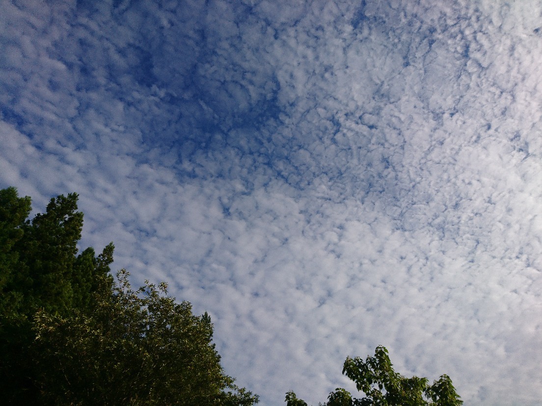 e0263536_22051943.jpg